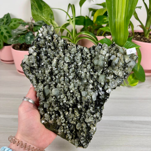 Black Epidote & Chlorite Quartz Specimen (Forest Quartz)