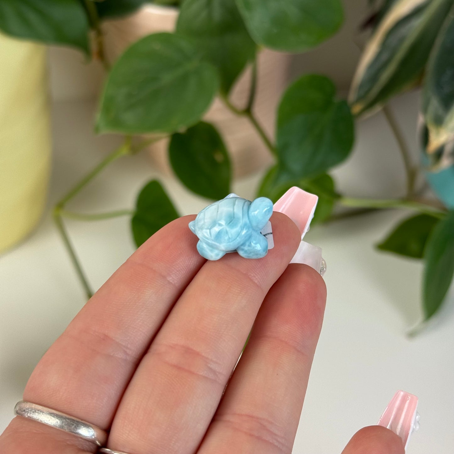 Mini Larimar Turtle