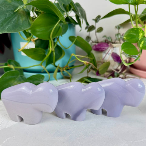 Lavender Fluorite Bison