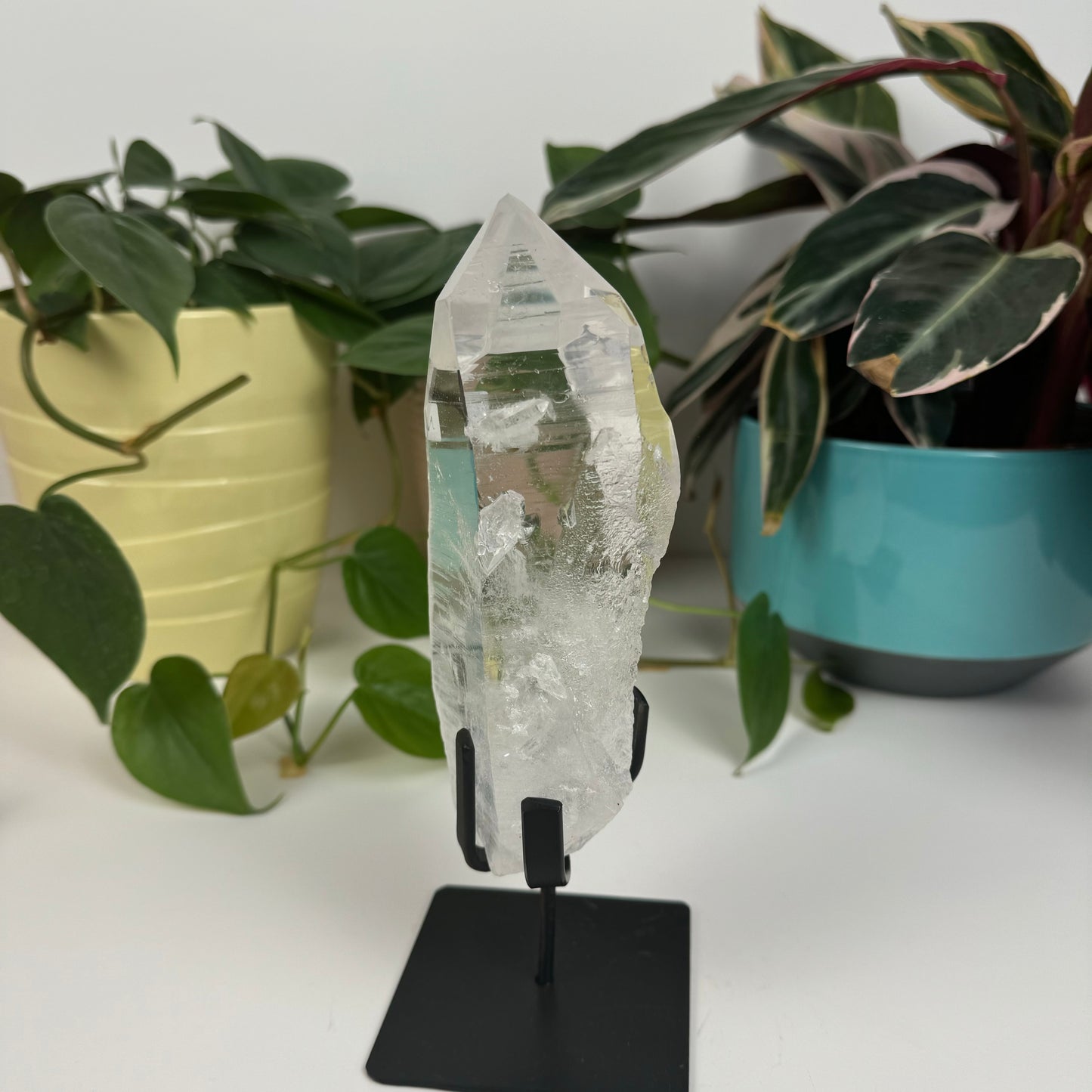 Incredible Lemurian Quartz (W/ Custom Stand) - N