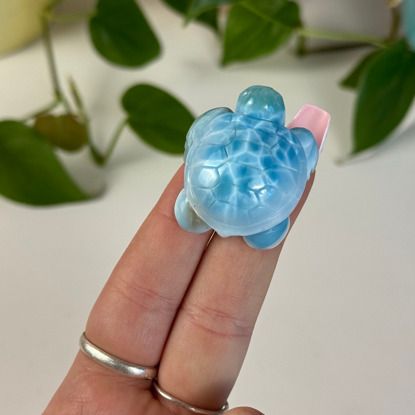 Medium Larimar Turtle