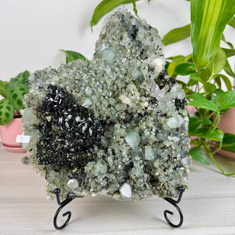 Black Epidote & Chlorite Quartz Specimen (Forest Quartz)