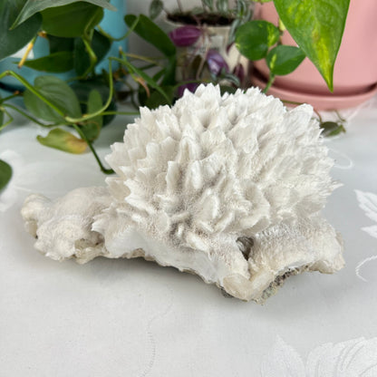 Mordenite w/ Stilbite Specimen