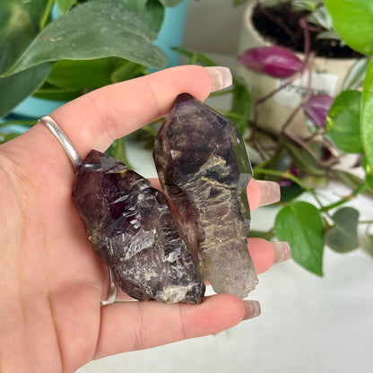 Enhydro Shangaan Amethyst