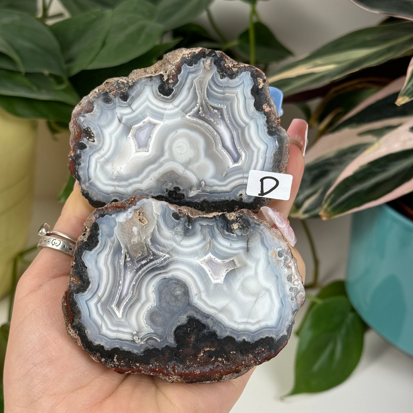 Laguna Agate Pair