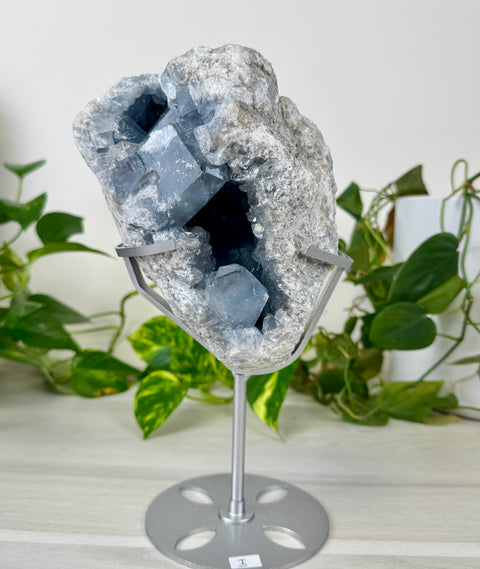 Glacier Blue Celestite Geode (W/ Custom Stand)
