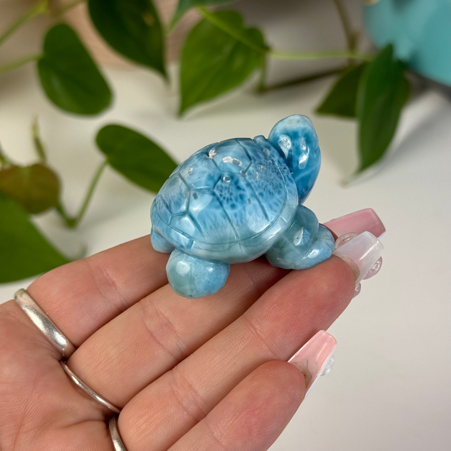 Large Larimar Turtle - M