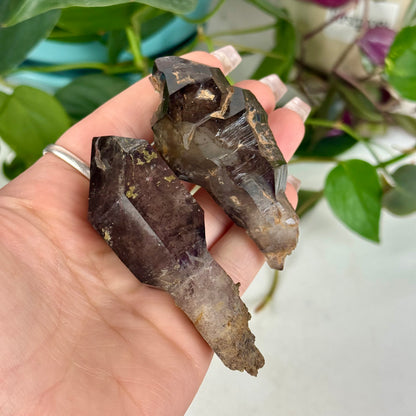 Enhydro Shangaan Amethyst