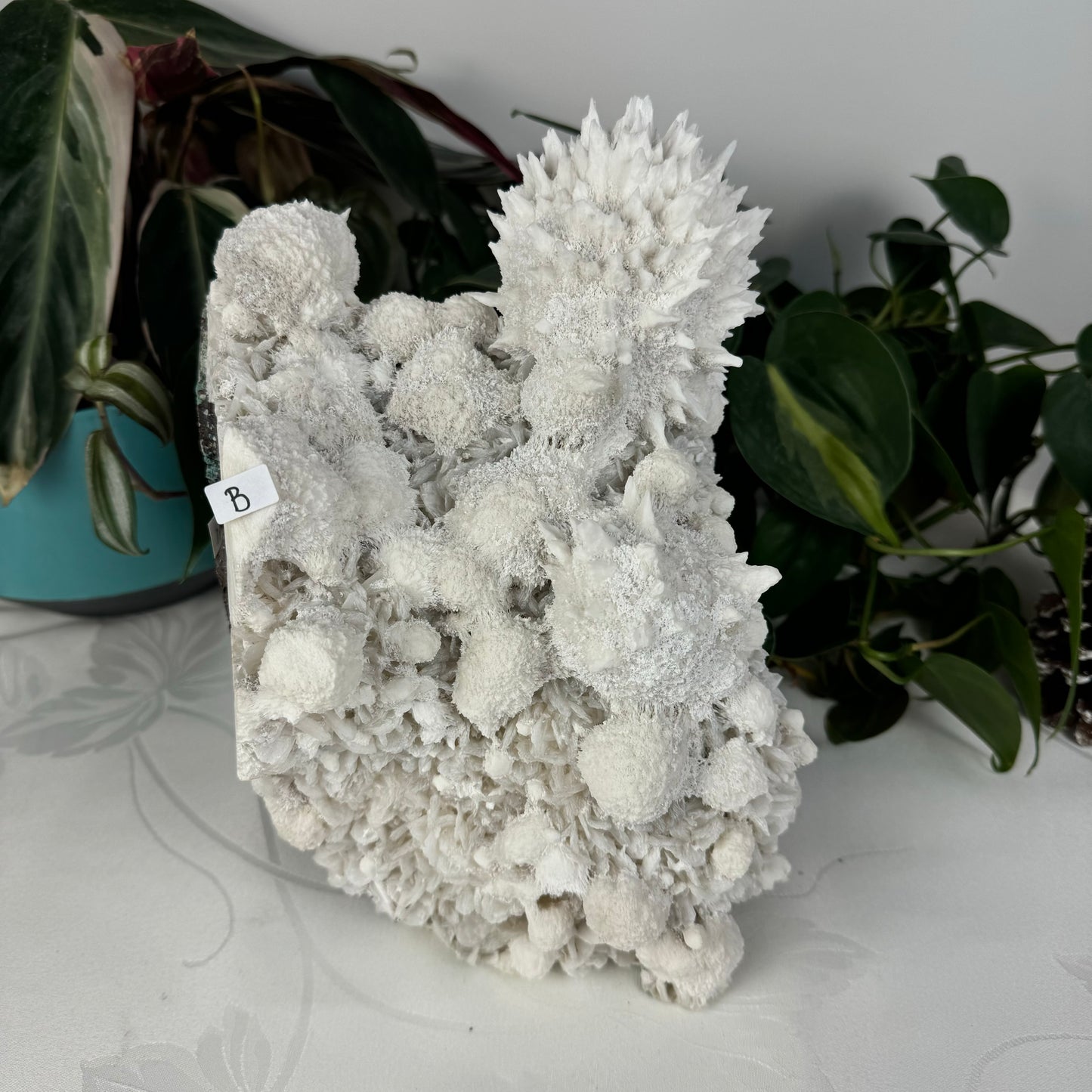 Okenite & Mordenite Specimen