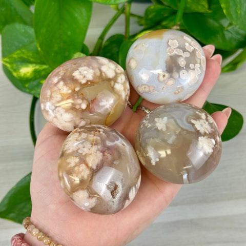 Flower Agate Palm Stone 22 2 - Kenna's Crystals from TikTok