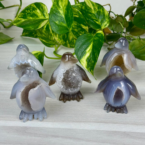 Druzy Agate Penguin