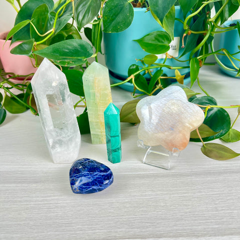 Star Gazing Bundle