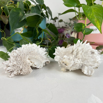 Mordenite w/ Stilbite Specimen