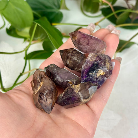 Enhydro Shangaan Amethyst