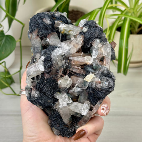 Hematite Roses With Harlequin Quartz Specimen