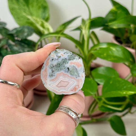 Indi Czechia Agate