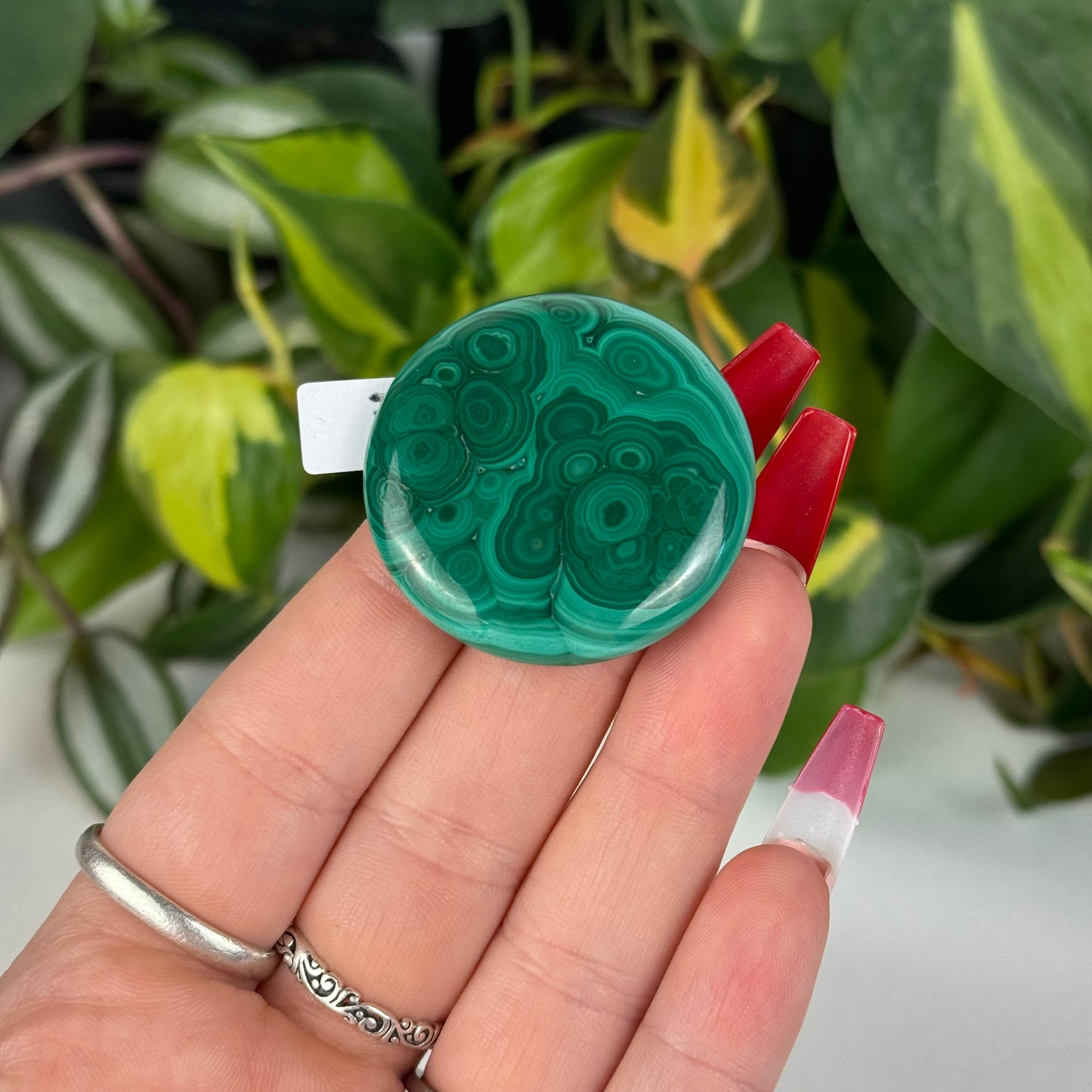 Mini Malachite Cookie