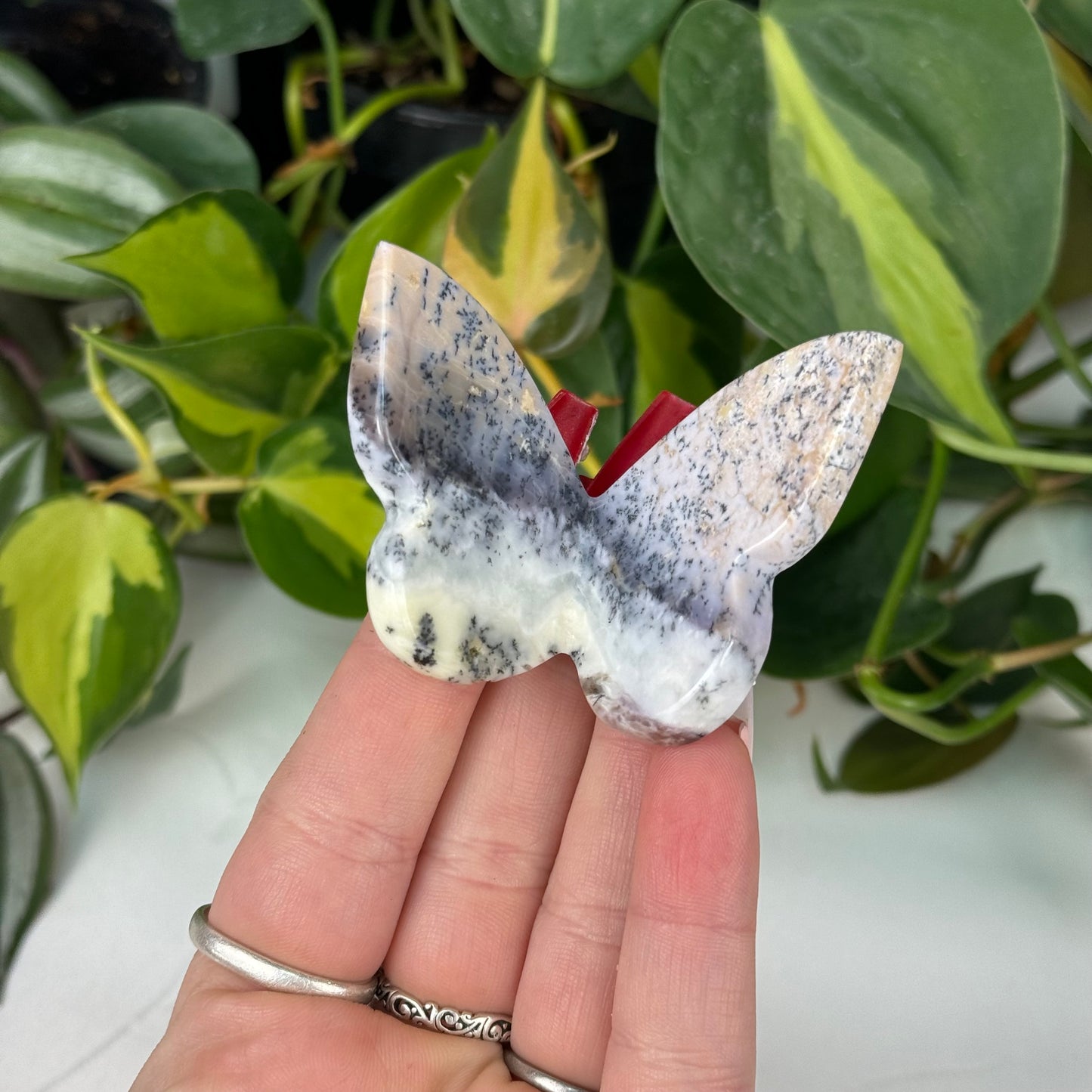 Imperfect Dendritic Agate 3D Butterfly