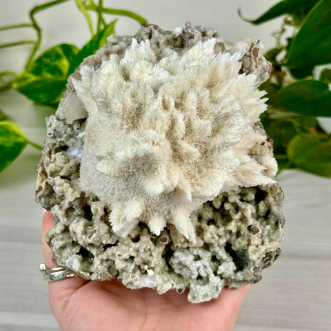 Mordenite Snowballs On Matrix Specimen