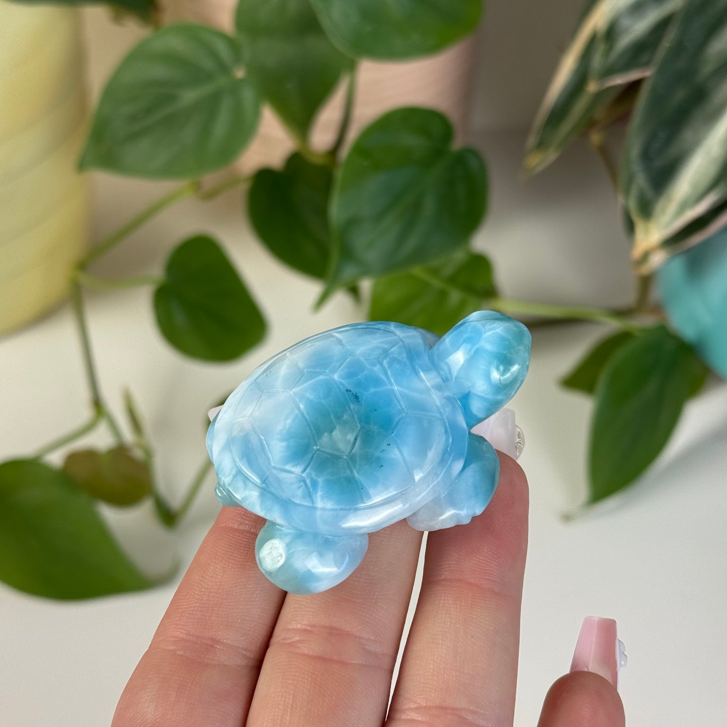 Medium Larimar Turtle