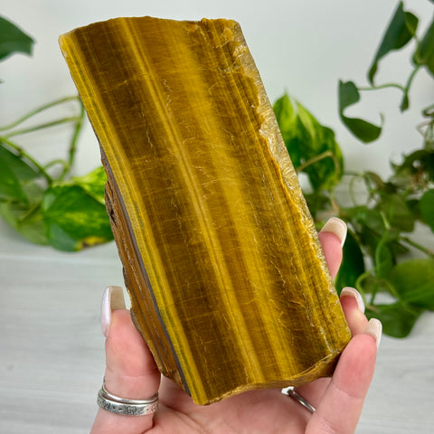 Golden Tiger's Eye Slab