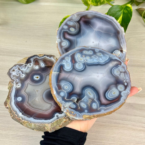 Swazi Rose Agate Slice