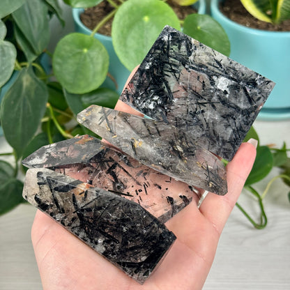 Tourmaline In Quartz Free Form