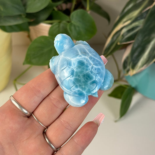 Large Larimar Turtle - G