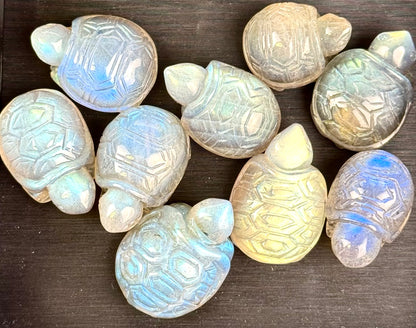 Mini AAA Labradorite Turtle