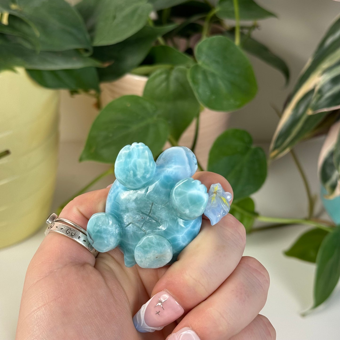 Large Larimar Turtle - I