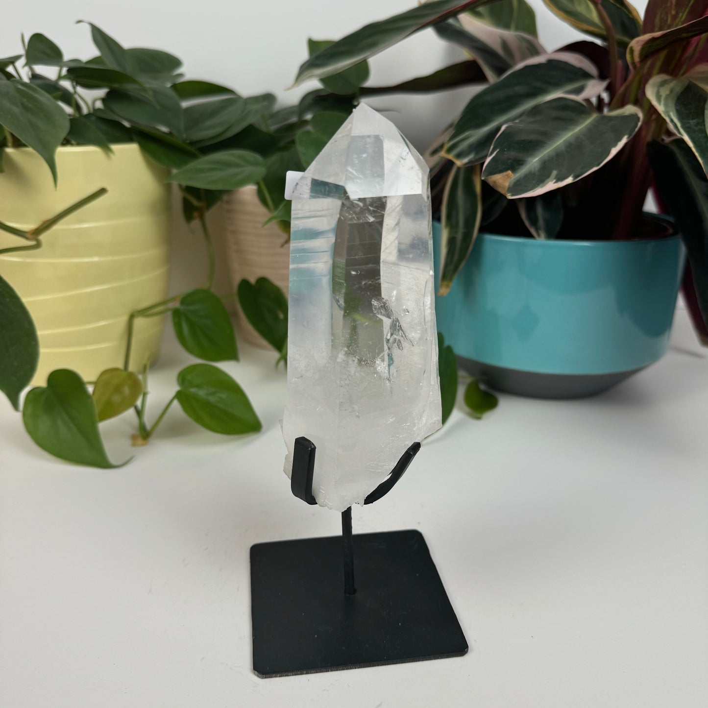 Incredible Lemurian Quartz (W/ Custom Stand) - V