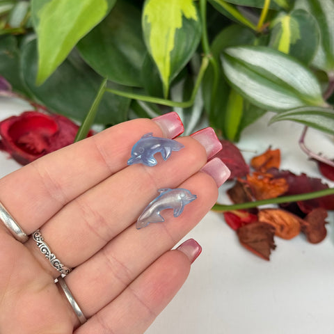 Mini Aquamarine Dolphin - Crystal Carving