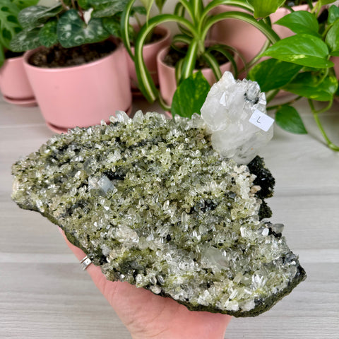 Black Epidote & Chlorite Quartz Specimen (Forest Quartz)