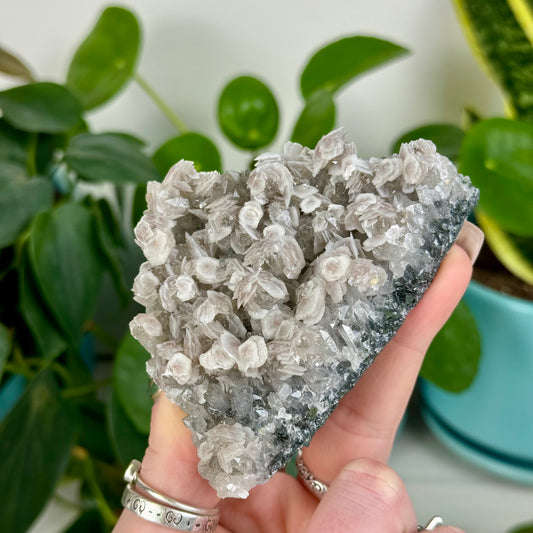 Coin Calcite On Quartz