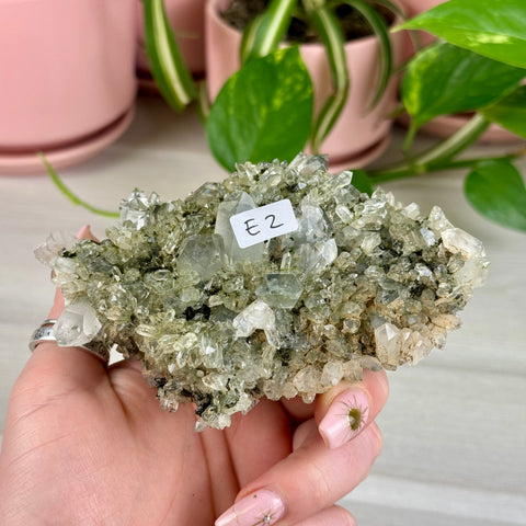 Black Epidote & Chlorite Quartz Specimen (Forest Quartz)