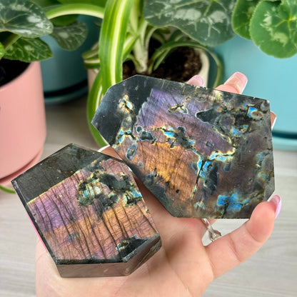 Imperfect Spectrolite Free Form