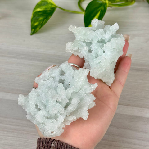 Frozen Key Lime Prehnite Specimen