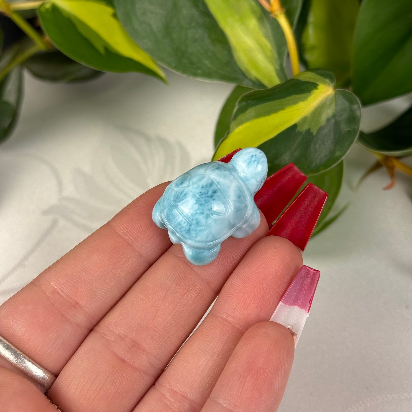 Mini Larimar Turtle