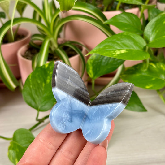 Blue Opal 3D Butterfly - Crystal Carving