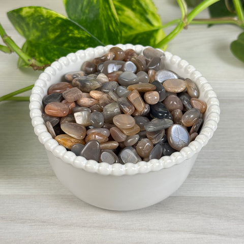Black Moonstone Chips (100g)
