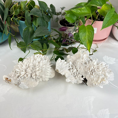 Mordenite w/ Stilbite Specimen