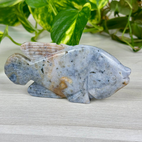 Ocean Jasper Fish Carving - B