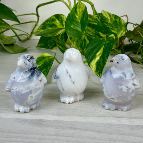Snow Agate Penguin