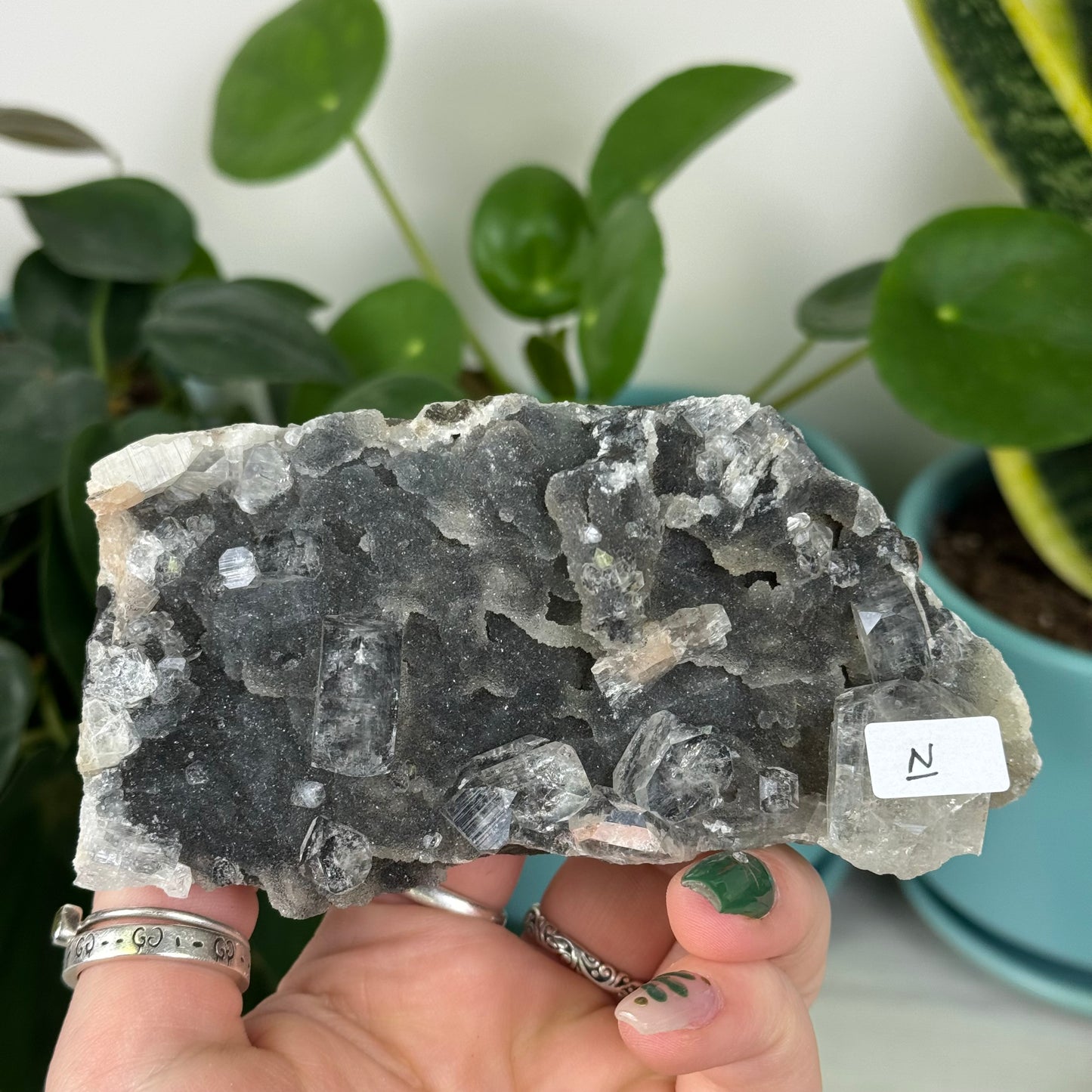 Black Chalcedony with Glossy Apophyllite