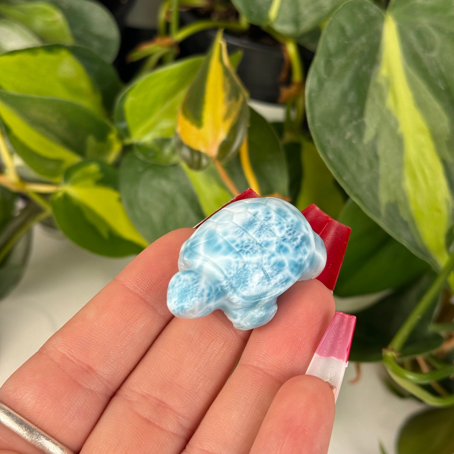 Mini Larimar Turtle