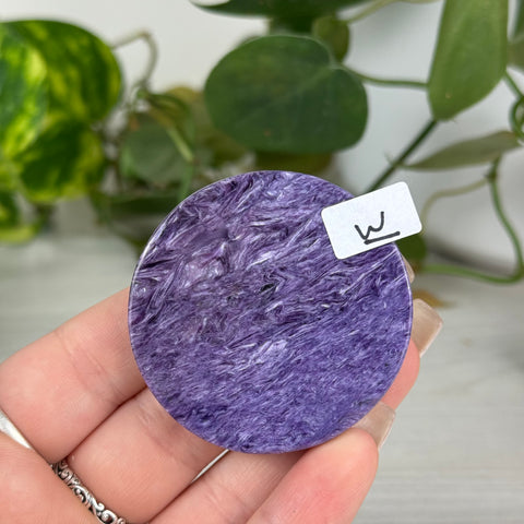 Rare Charoite Cookie