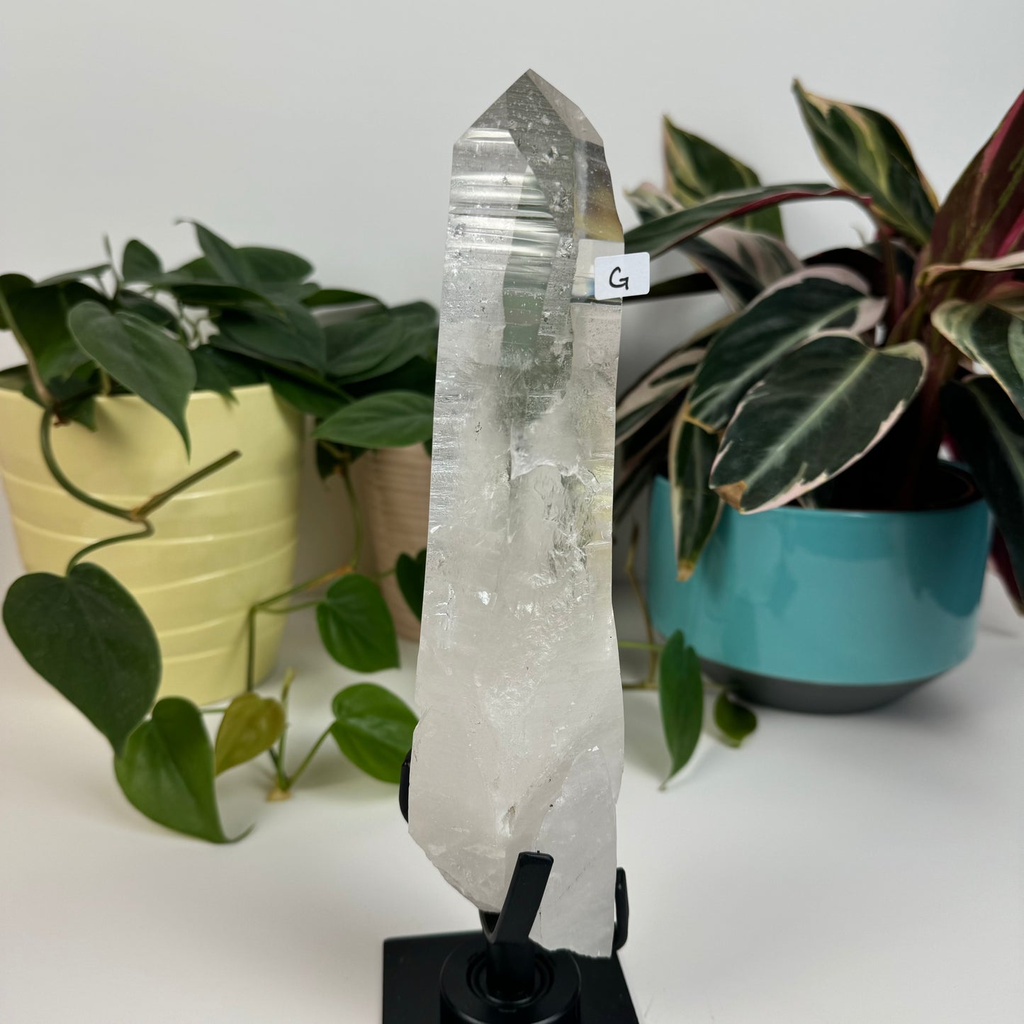 Incredible Lemurian Quartz (W/ Custom Stand) - G