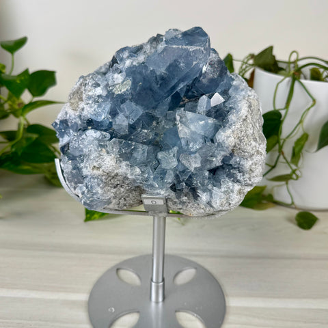 Glacier Blue Celestite Geode (W/ Custom Stand)