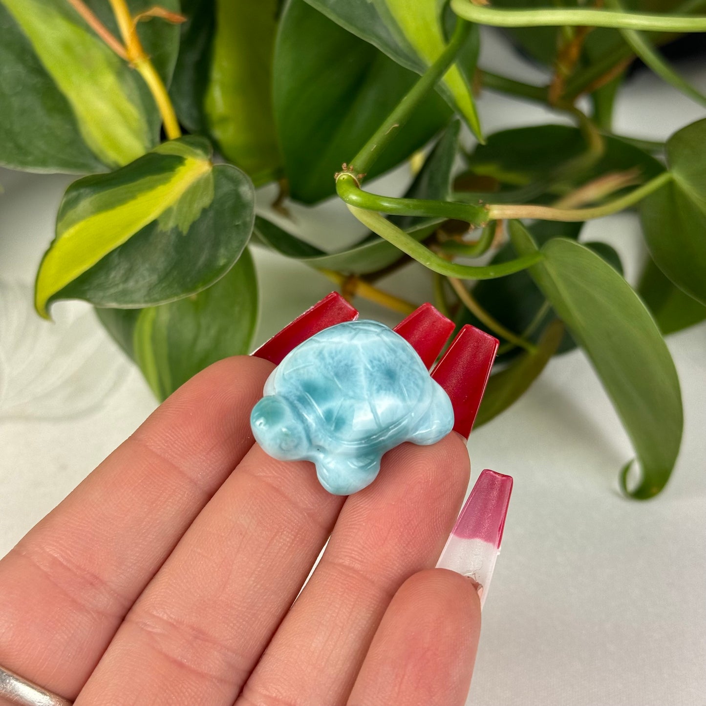 Mini Larimar Turtle