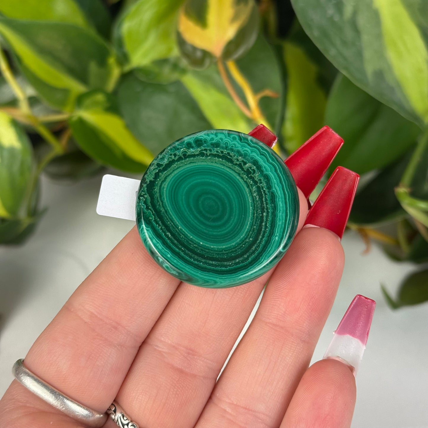 Mini Malachite Cookie